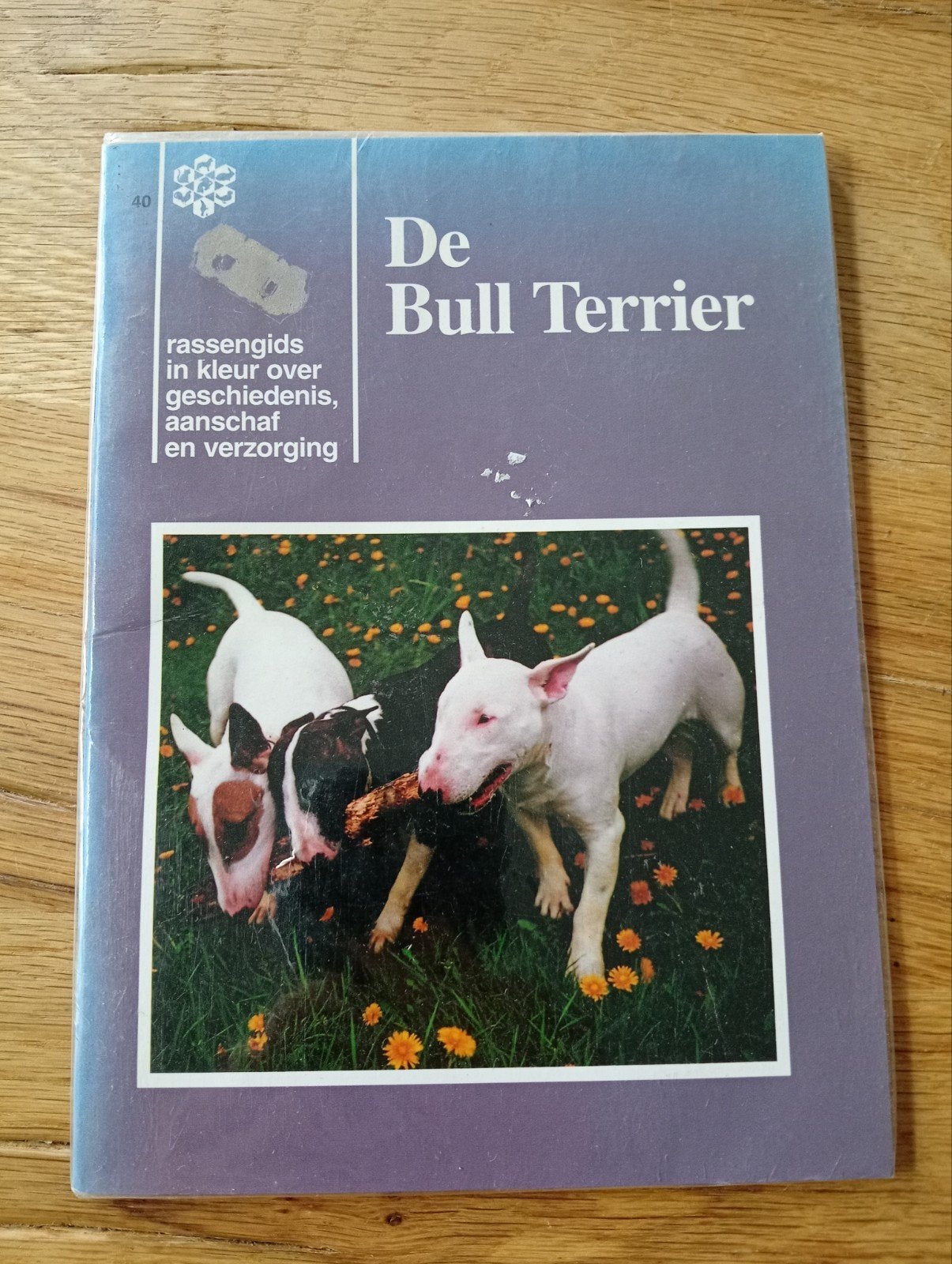 De Bull Terrier - Rassengids over geschiedenis, aanschaf, Boeken, Onbekend, Honden, Ophalen of Verzenden, Zo goed als nieuw