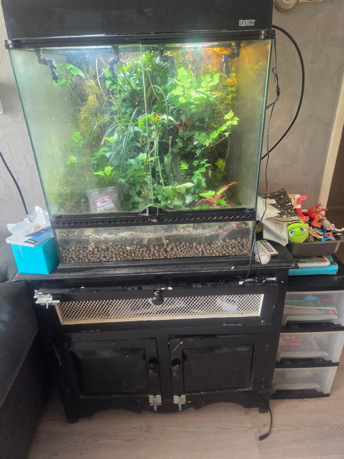 exo terra 60x45 x45 met 3 azureus 2 licht bakken sproeisyste, Ophalen, Gebruikt, Terrarium of Paludarium