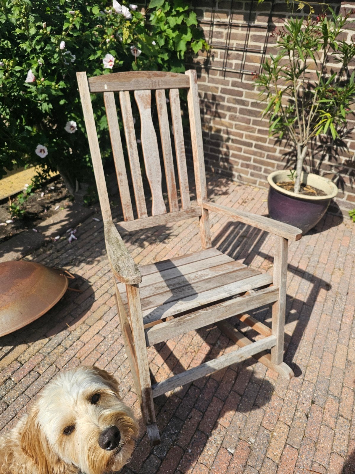 mooie hardhouten wipstoel, Ophalen, Gebruikt, Stoel
