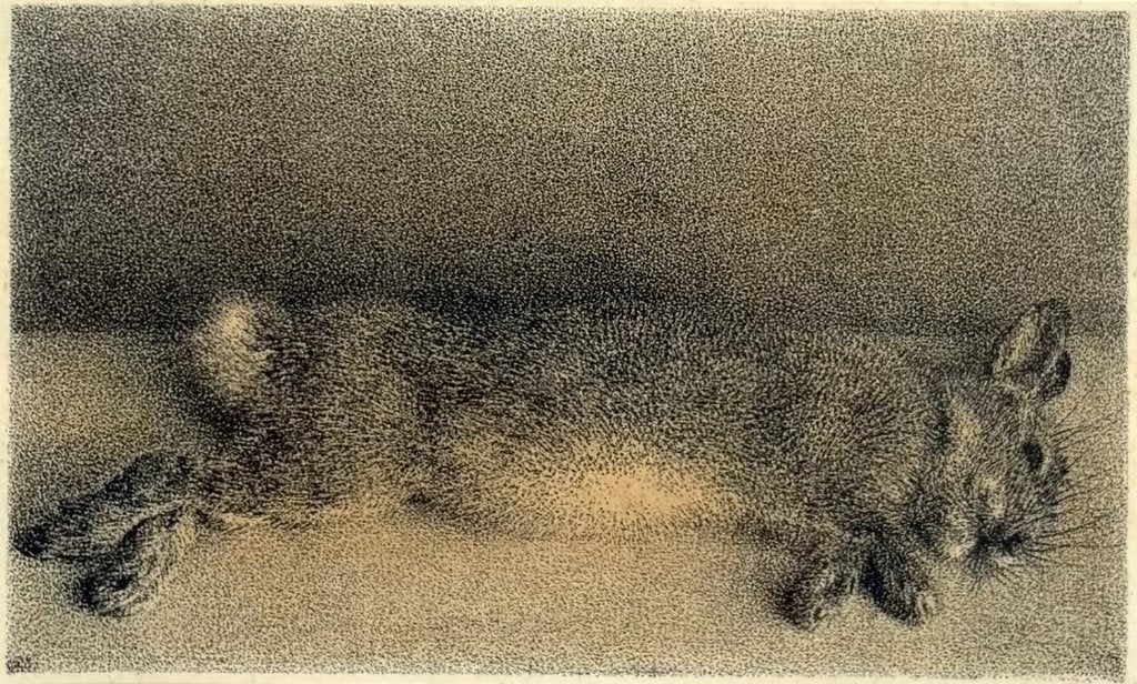 13. Litho, Evert Musch – stilleven konijn, 1943, Ophalen of Verzenden, Dieren en Natuur, Lithografie