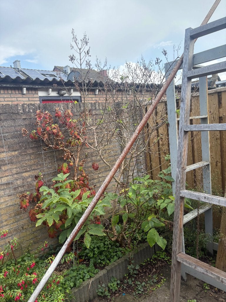 Houten Trapleuning van 3,60 meter, Doe-het-zelf en Verbouw, Ophalen, Gebruikt, Trap, 2 tot 4 meter