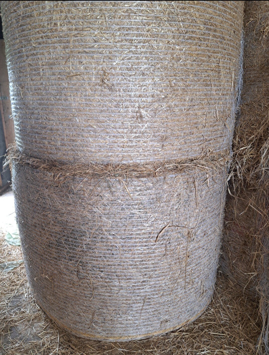 grote strobalen te koop