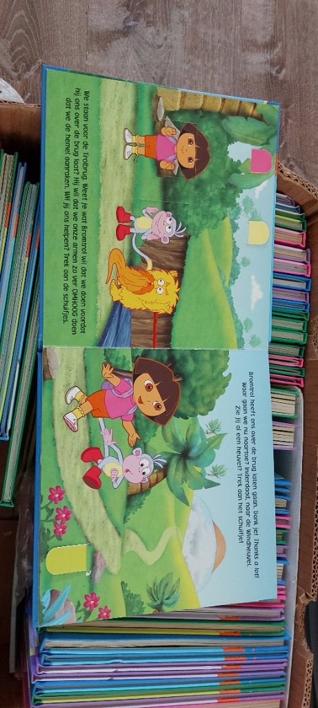 Boekje van Dora, Ophalen of Verzenden, Zo goed als nieuw, Uitklap-, Voel- of Ontdekboek