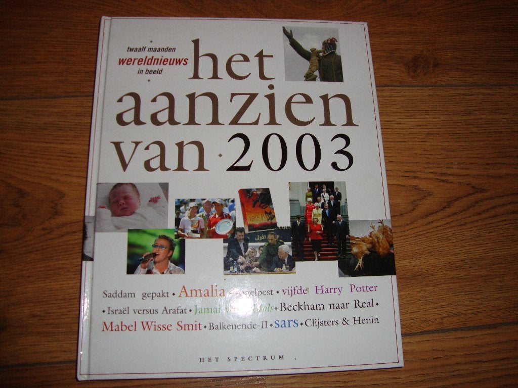 Het aanzien van2003, Boeken, Geschiedenis | Wereld, 20e eeuw of later, Overige gebieden, Ophalen of Verzenden, Zo goed als nieuw