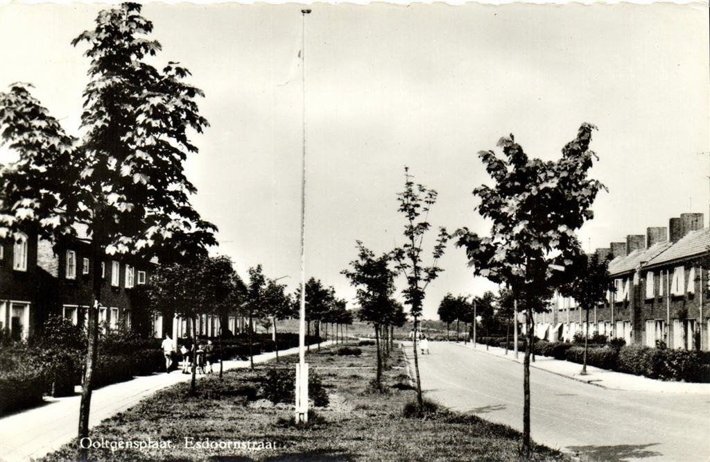 Ooltgensplaat, Esdoornstraat - volk - ongelopen, Verzamelen, Ophalen of Verzenden, 1960 tot 1980, Ongelopen, Zuid-Holland