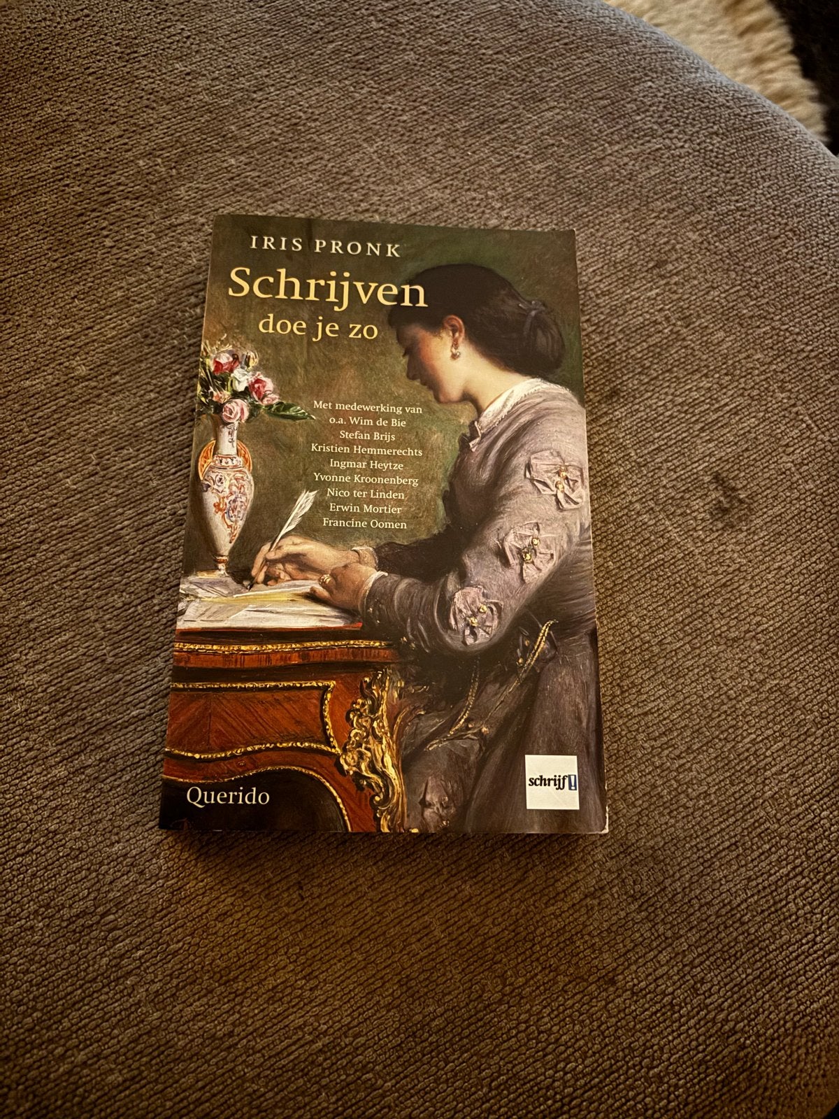 Schrijven doe je zo - Iris Pronk (Querido), Ophalen of Verzenden, Gelezen, Nederland