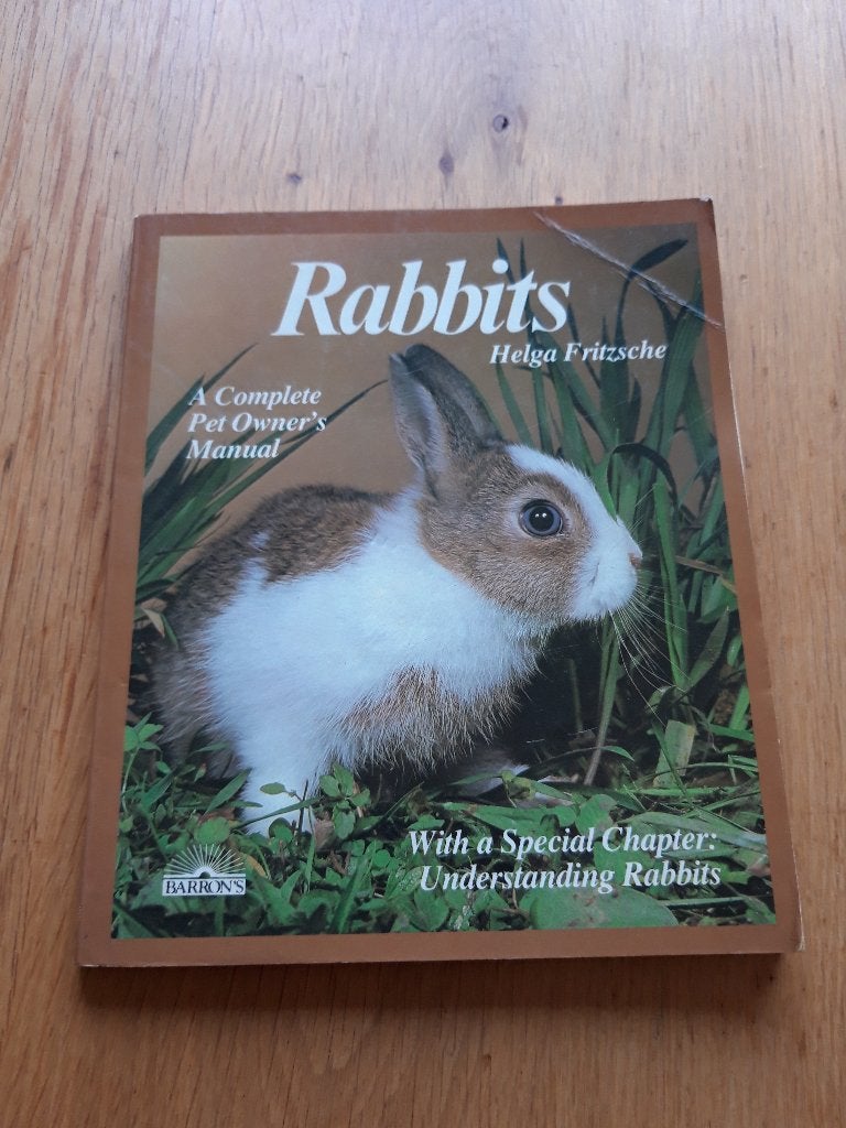 Rabbits, Ophalen of Verzenden, Gelezen, Konijnen of Knaagdieren
