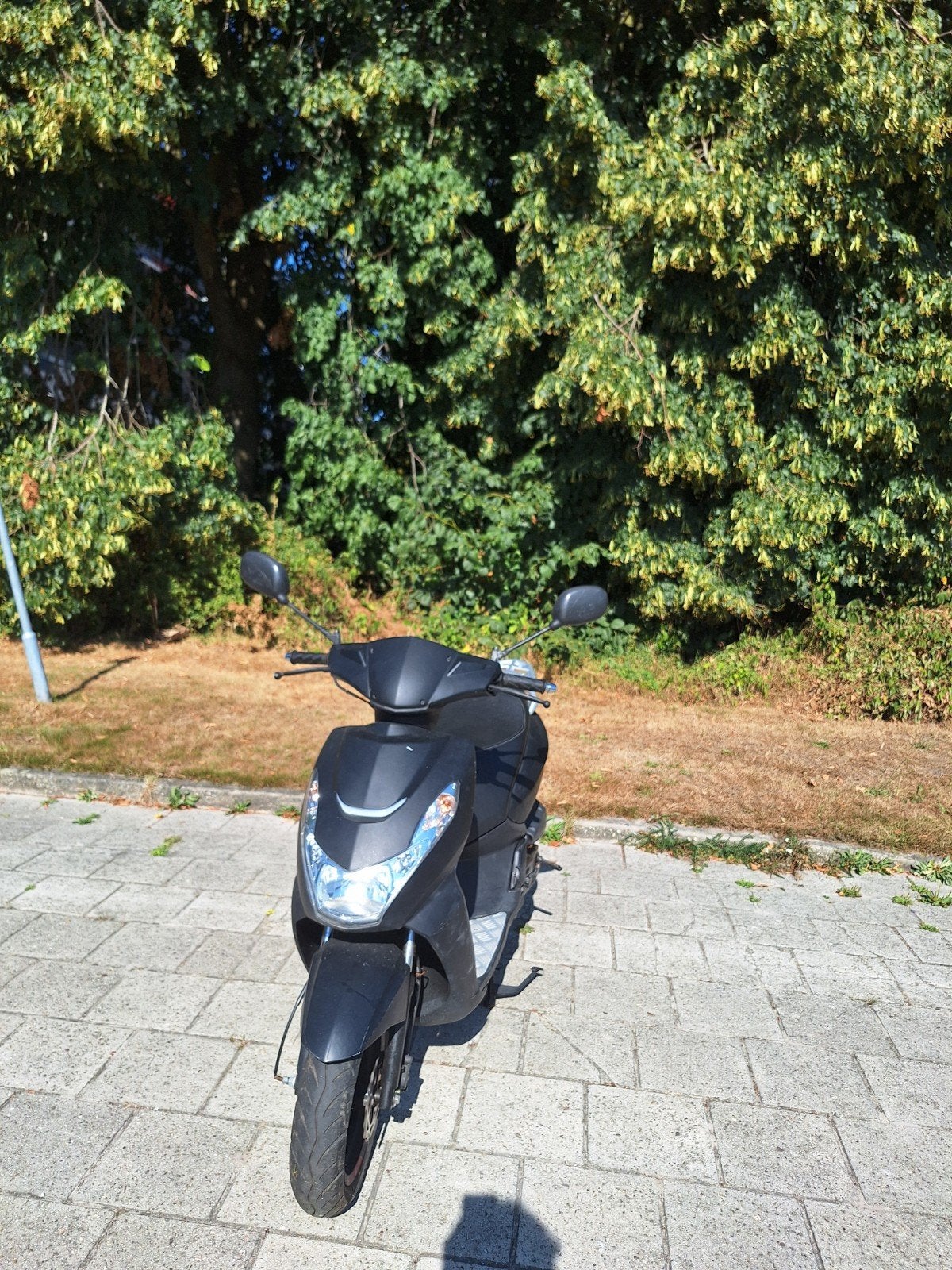 Te koop aangeboden: Peugeot Kisbee Black Edition, Maximaal 45 km/u, Ophalen of Verzenden, Fox, Zo goed als nieuw