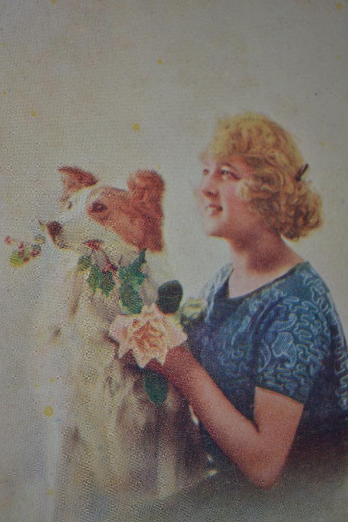 belgie 1920 vrouw met hond schotse collie, Ophalen of Verzenden, Voor 1920, Ongelopen, Overige thema's