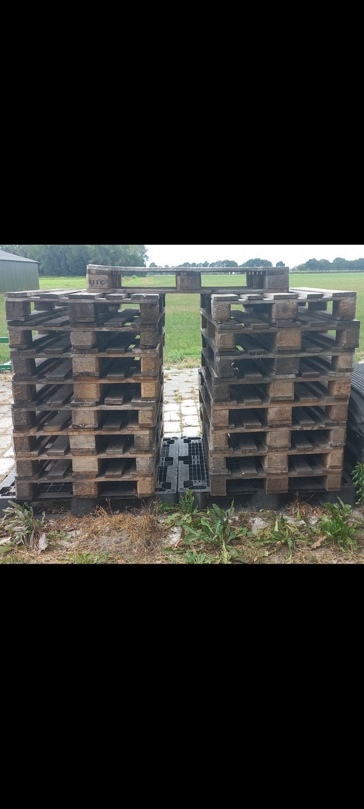 17 Euro Pallets, Doe-het-zelf en Verbouw, Hout en Planken, Ophalen, Overige houtsoorten, Minder dan 200 cm, Pallet