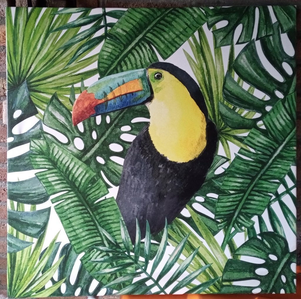 reproductie schilderij 60 x 60 cm van een toekan, Ophalen