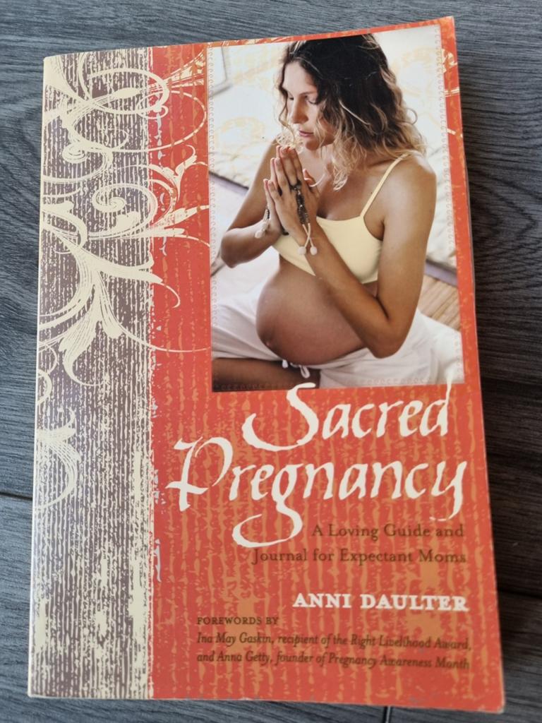 Sacred Pregnancy: holistisch zwangerschapsboek en journal, Ophalen of Verzenden, Zo goed als nieuw, Zwangerschap en Bevalling