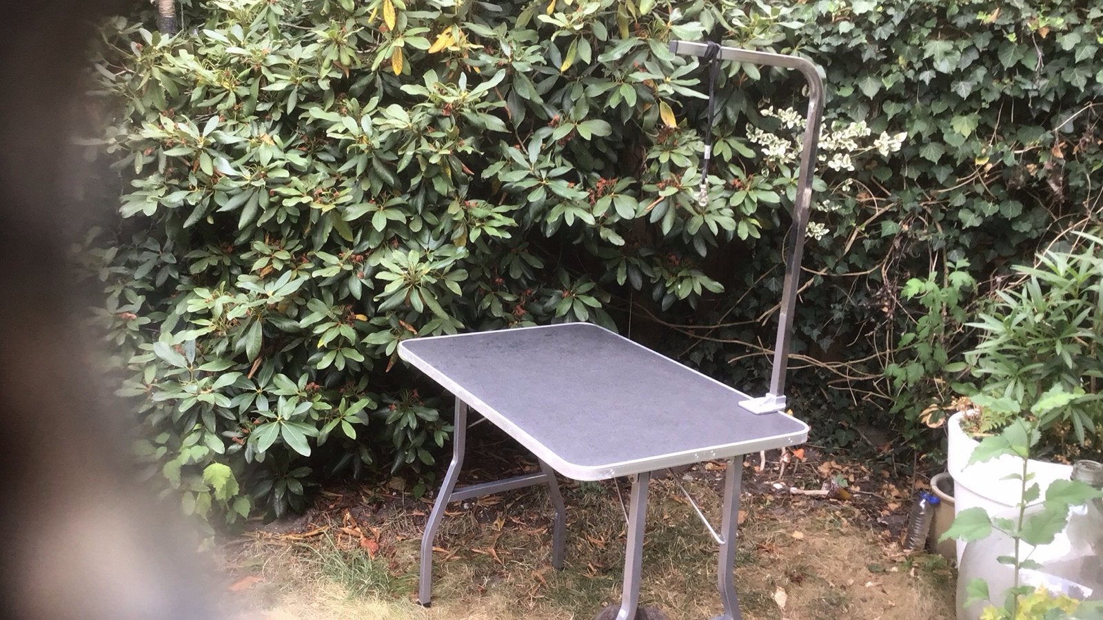 Trimtafel voor grote en kleine hond, Dieren en Toebehoren, Ophalen, Gebruikt, Trimtafel