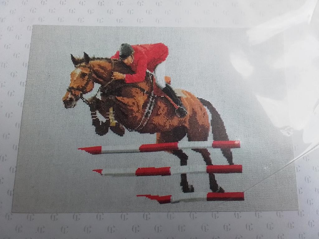 Thea Gouverneur borduurpakket, Ophalen of Verzenden, Zo goed als nieuw, Borduurpakket