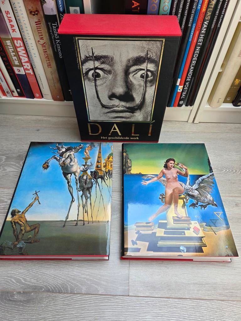 Dali - Het geschilderde werk - boxset / Taschen, Boeken, Kunst en Cultuur | Beeldend, Ophalen of Verzenden, Zo goed als nieuw