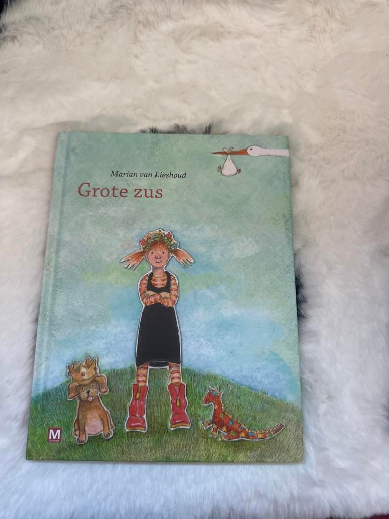 Grote zus - Marian van Lieshout (Zo goed als nieuw), Ophalen of Verzenden, Zo goed als nieuw, Fictie algemeen