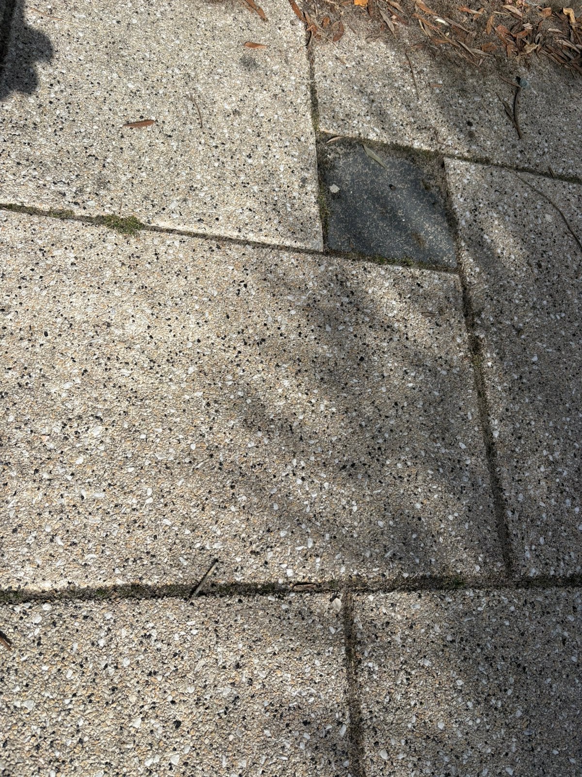 40x60 tegel 30m2, Tuin en Terras, Tegels en Klinkers, Ophalen of Verzenden, Zo goed als nieuw, Beton, Terrastegels