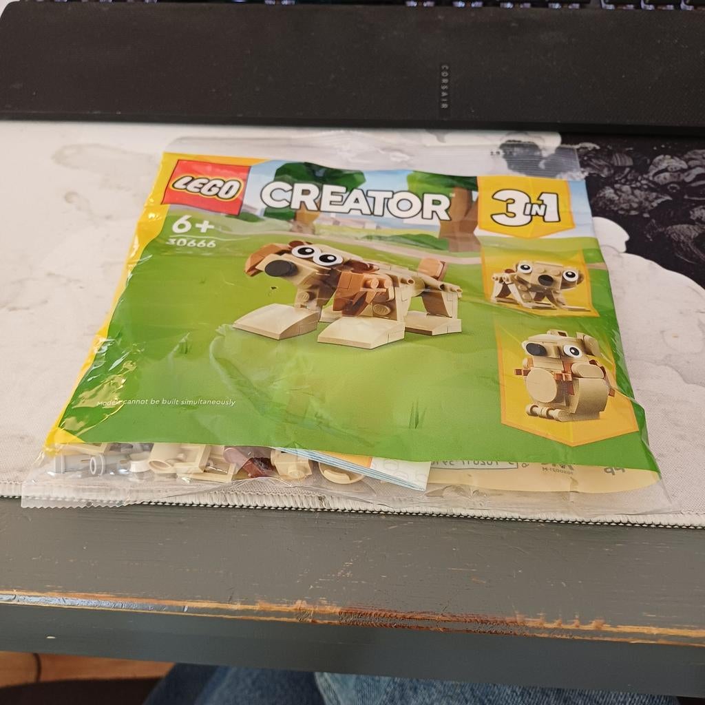 Lego 30666, Kinderen en Baby's, Speelgoed | Duplo en Lego, Ophalen of Verzenden