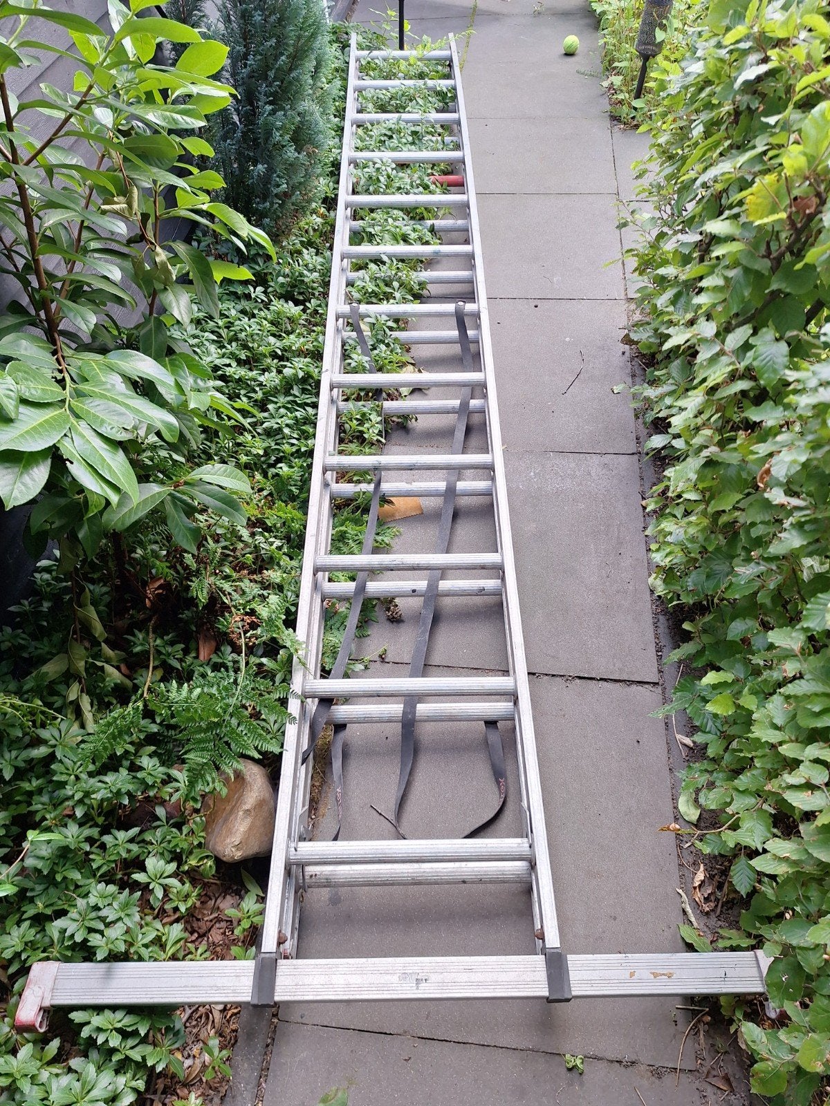 Altrex Ladder - 6.07m maximale hoogte, Ophalen, Gebruikt, 4 meter of meer