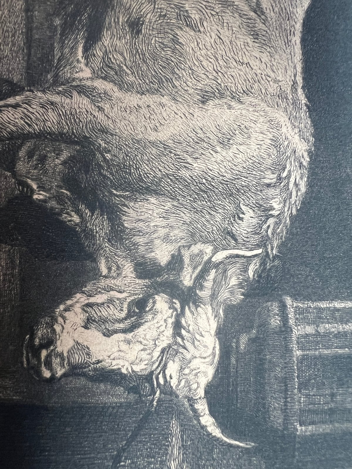 Gravure, van het stierschilderij op de stadsstraat, Antiek en Kunst, Kunst | Etsen en Gravures, Ophalen of Verzenden