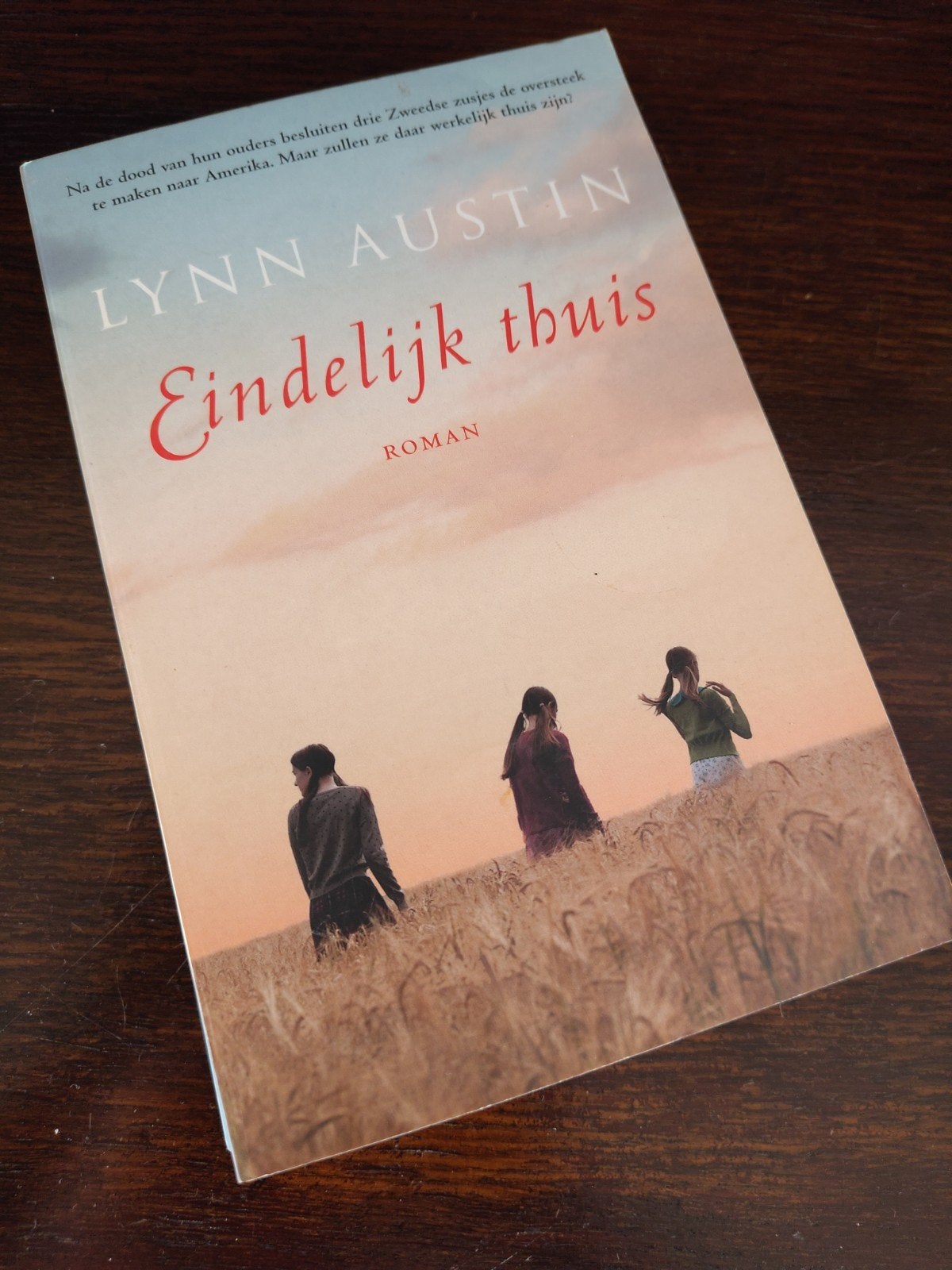 Pakketkorting - leesboek - Eindelijk thuis - Lynn Austin, Boeken, Gelezen, Ophalen of Verzenden, Lynn Austin, Amerika