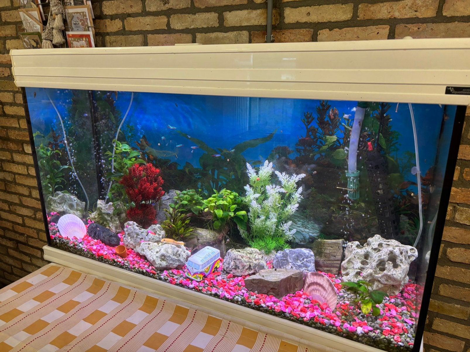 Aquarium te koop, Ophalen, Gebruikt, Leeg aquarium, Aquatlantis