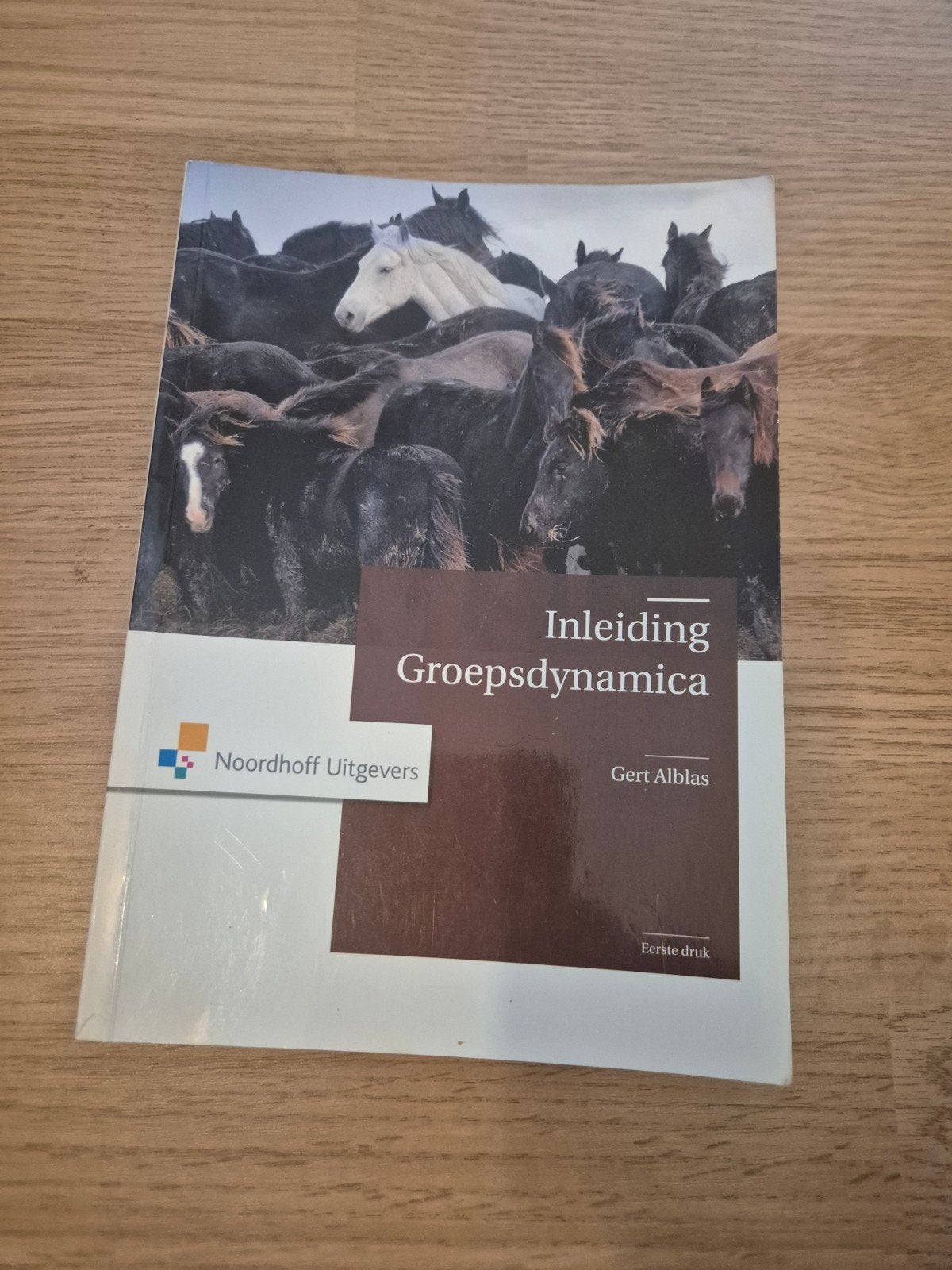 Inleiding Groepsdynamica - Gert Alblas (Noordhoff), Boeken, Studieboeken en Cursussen, Gert Alblas, Zo goed als nieuw, Gamma, HBO