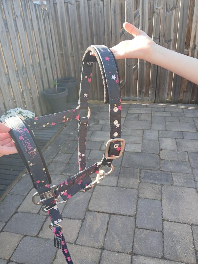 Eskadron P2 halster, Ophalen, Overige soorten