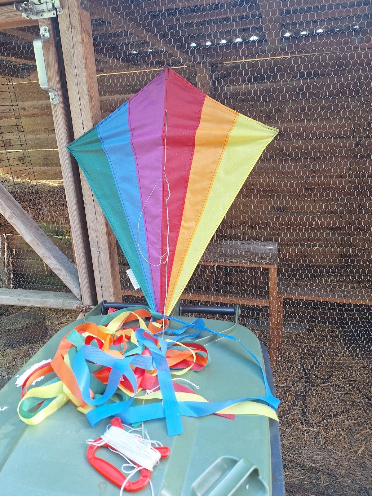 Vlieger in regenboog kleuren, Ophalen