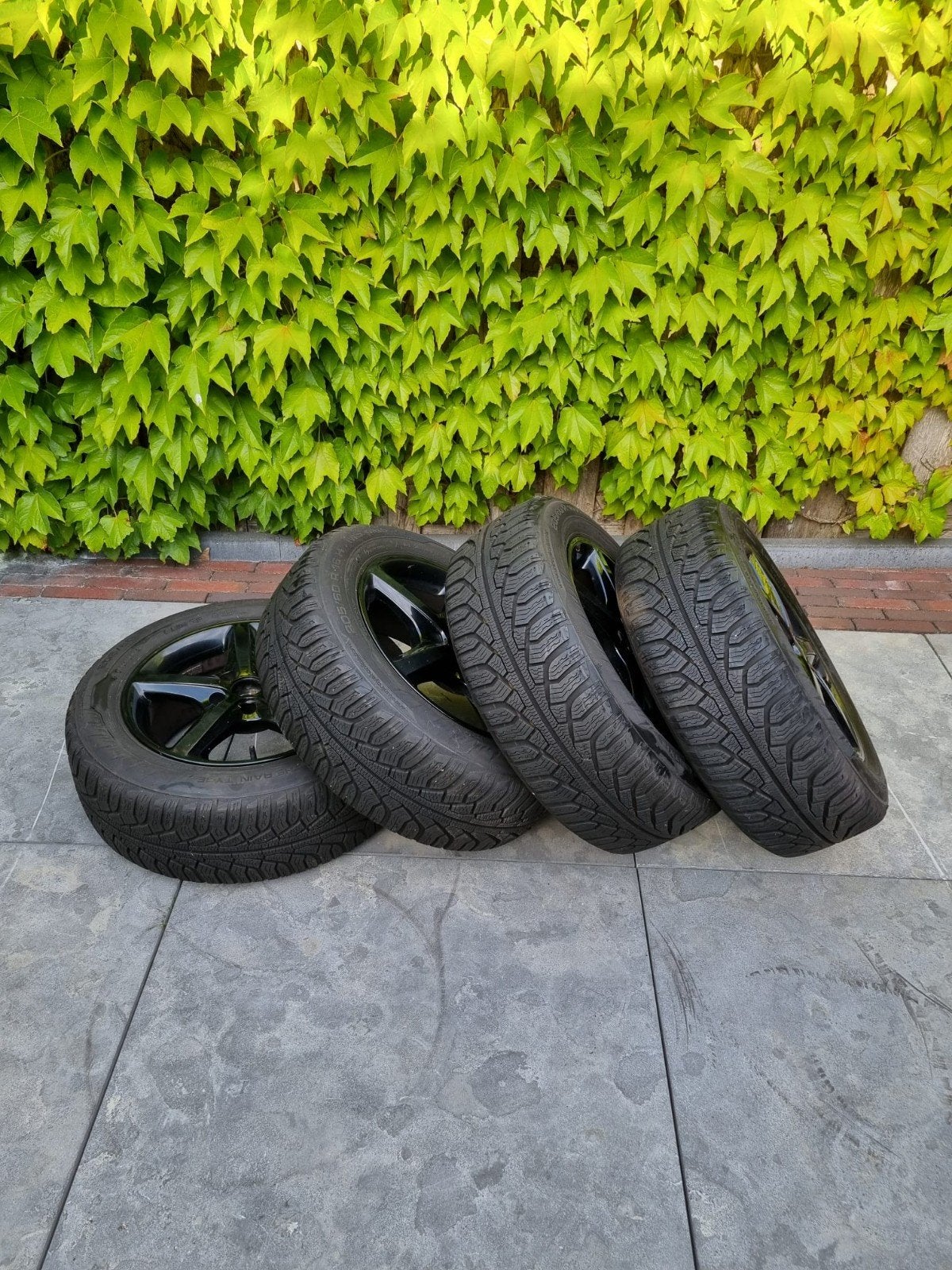 Uniroyal MS plus 77 Winterbanden op velg 205/60 R16 H, Ophalen