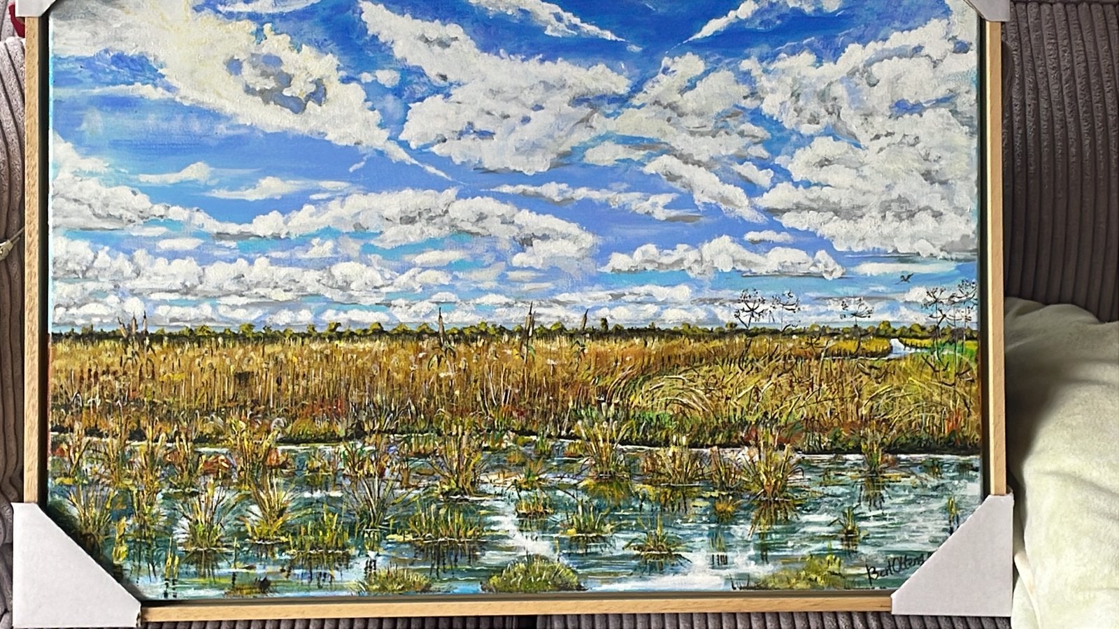 Prachtig Schilderij van de Onlanden en Uniek., Ophalen