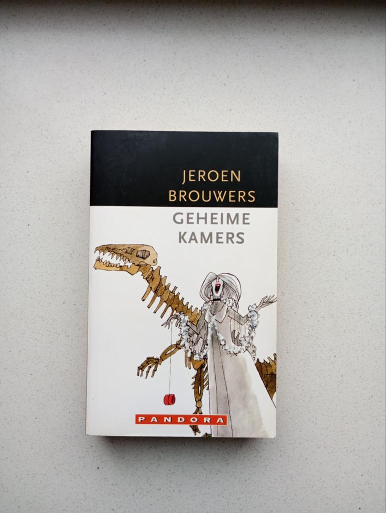 Geheime Kamers - Jeroen Brouwers, Ophalen of Verzenden, Gelezen