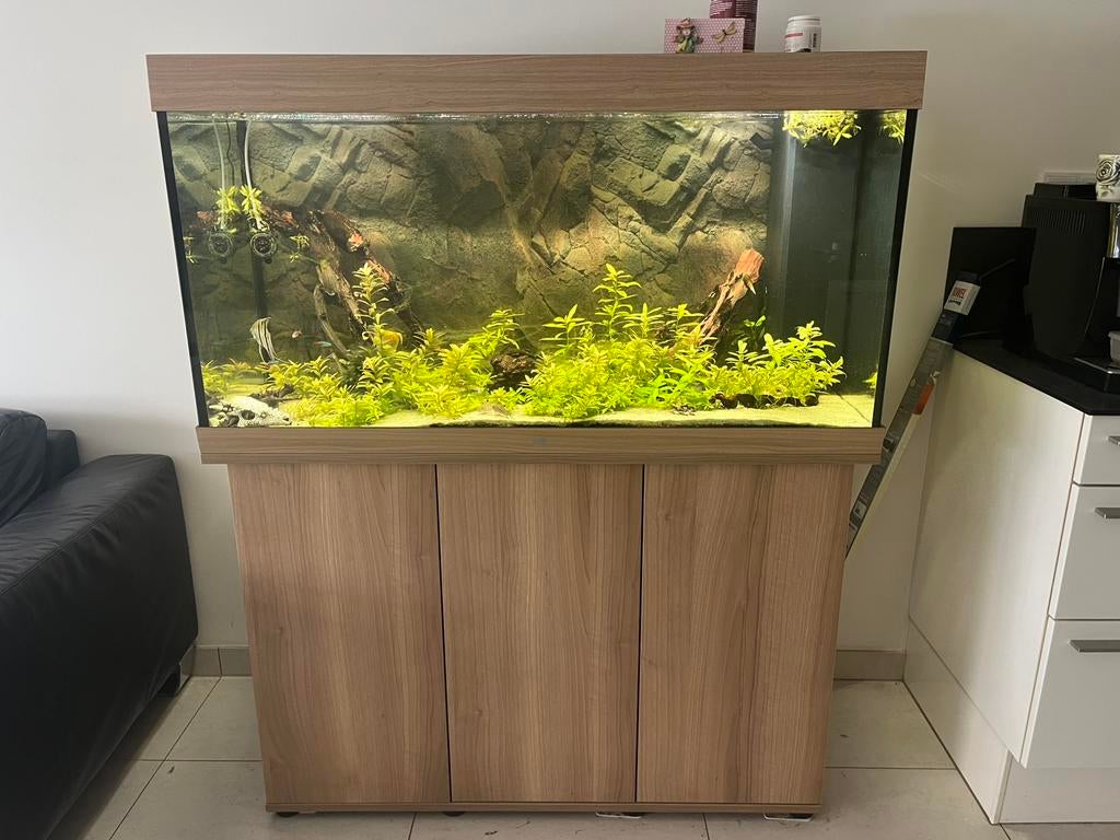 Aquarium compleet met alle toebehoren, Ophalen, Gebruikt, Gevuld zoetwateraquarium, Juwel