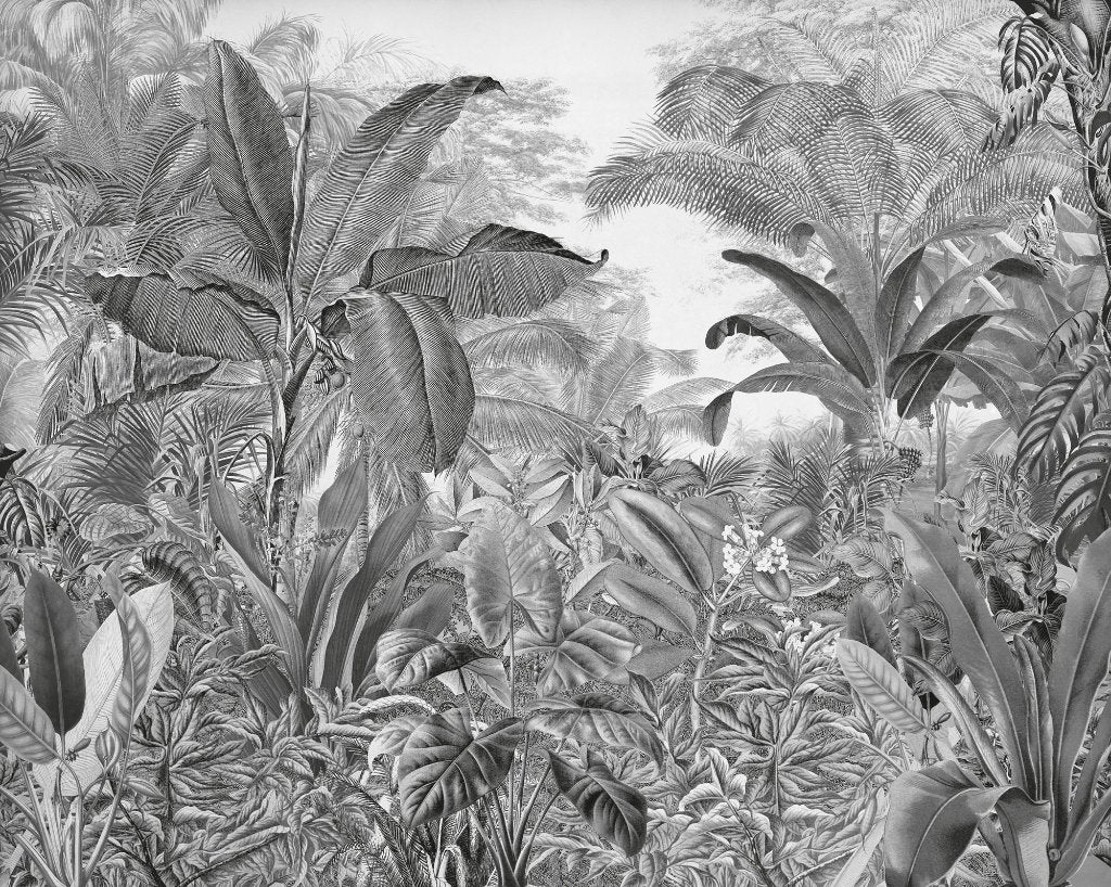 Zwart wit Jungle behang Leopards, botanisch, Muurdeco4kids, Huis en Inrichting, Verzenden, Fotobehang, Zwart