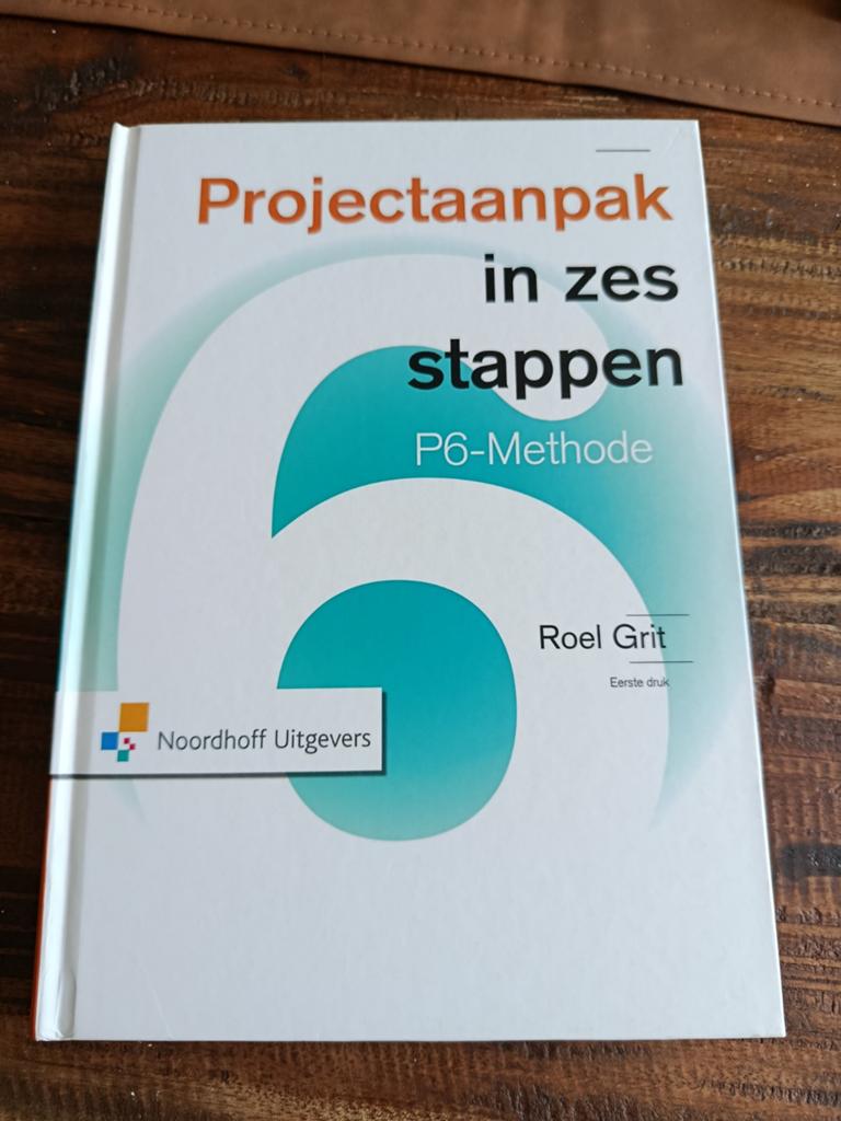 Roel Grit - Projectaanpak in zes stappen, Sociale wetenschap, Roel Grit, Ophalen of Verzenden, Zo goed als nieuw