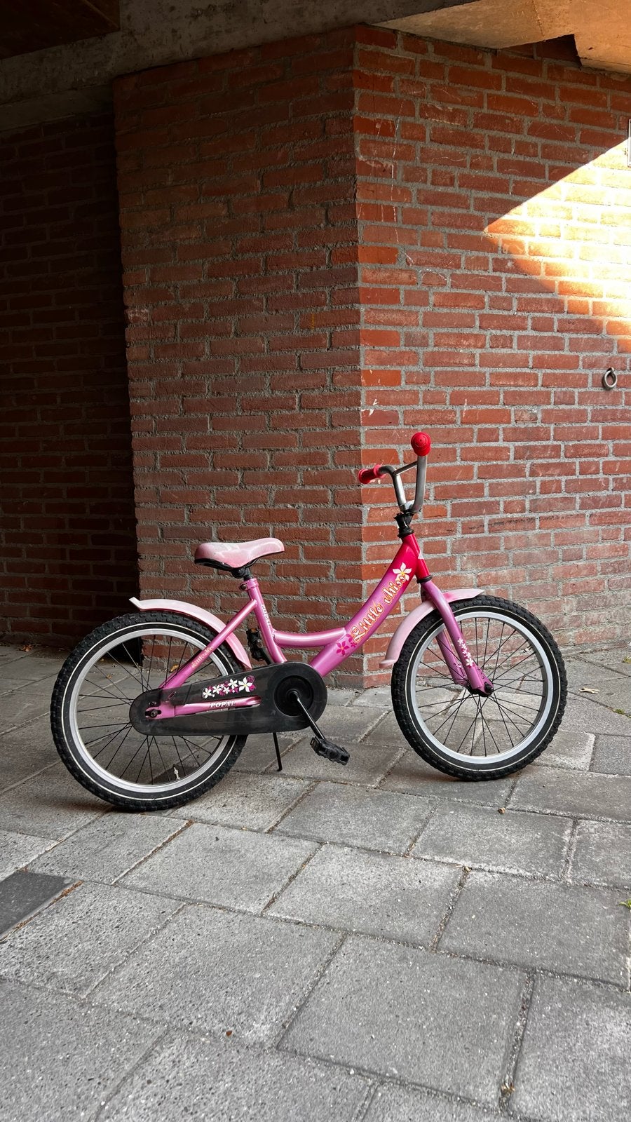 Roze kinderfiets 20 inch (m2452386030) — Fietsen | Kinderfietsjes ...