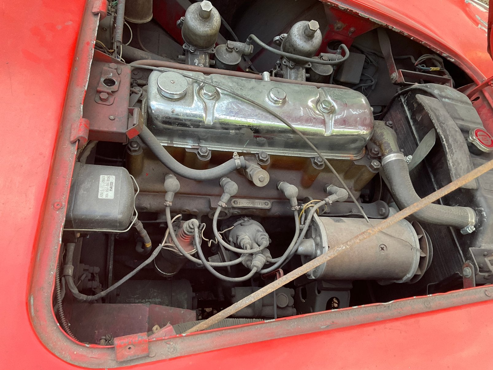 Austin Healey 100, foto 4