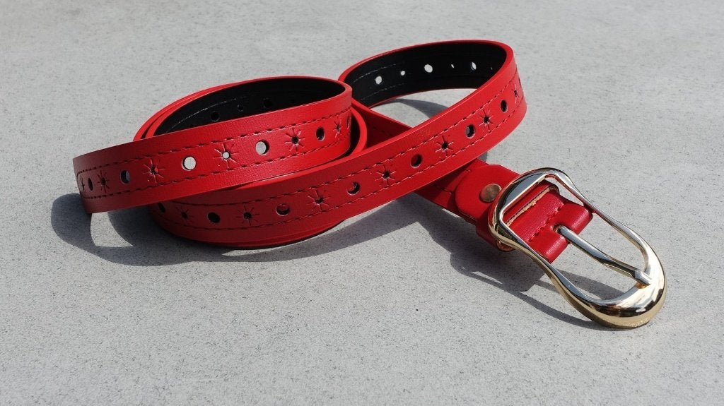 Rode riem met gouden gesp en stervormige perforaties, Minder dan 3 cm, 100 cm of meer, Nieuw, Tailleriem