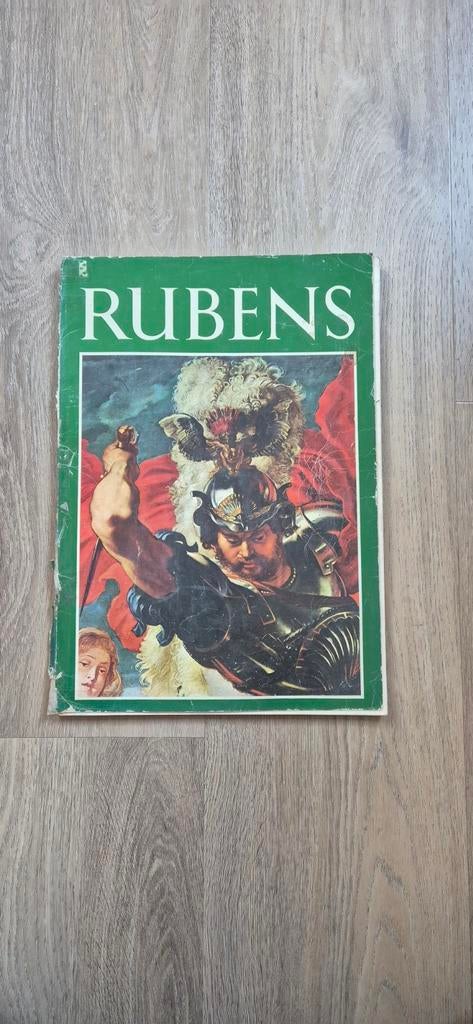Boek, Rubens, Ophalen of Verzenden, Gelezen