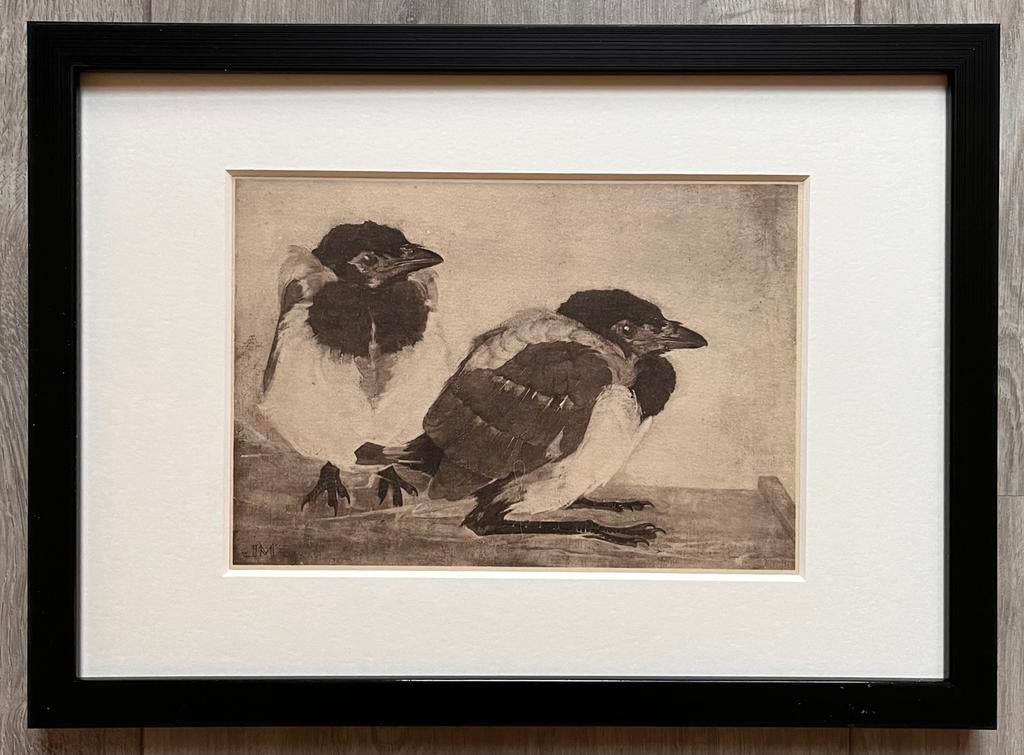 Jan Mankes 1889-1920 / Heliogravure 2 Jonge Eksters 1923, Antiek en Kunst, Kunst | Etsen en Gravures, Ophalen