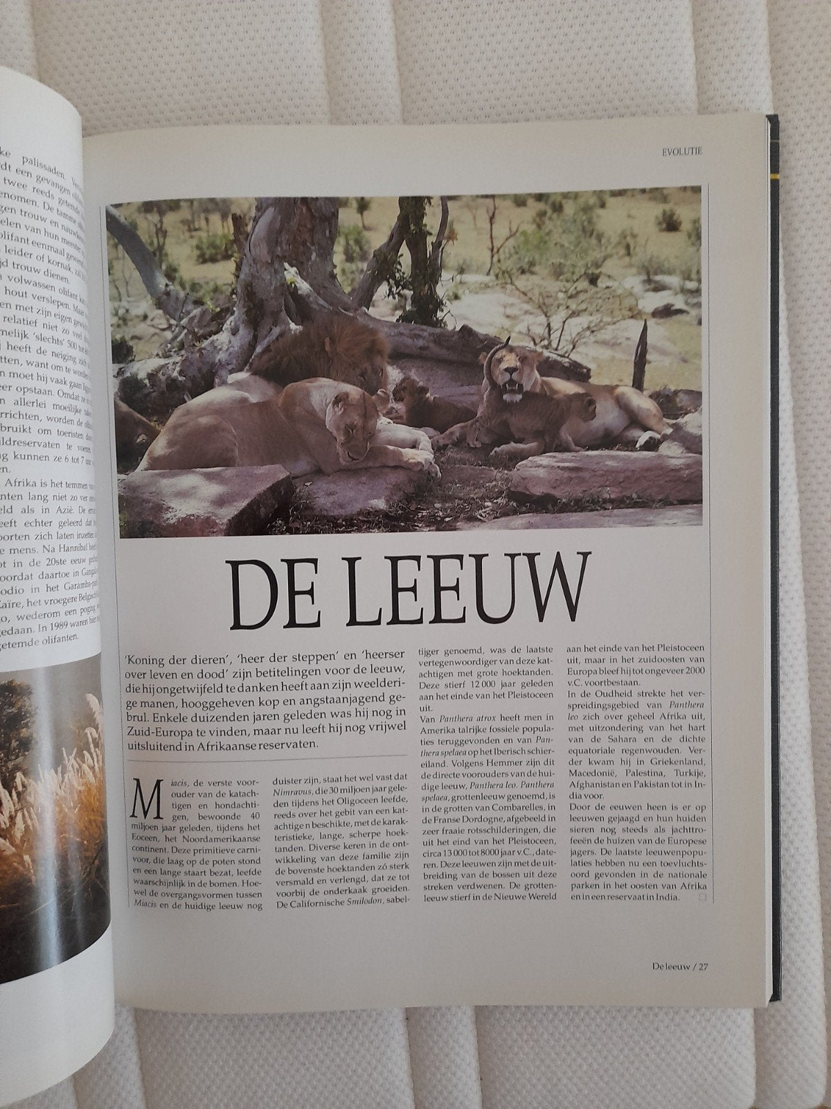 READER'S DIGEST... Afrikaanse Savannen., Boeken, Ophalen of Verzenden, Zo goed als nieuw, Dieren