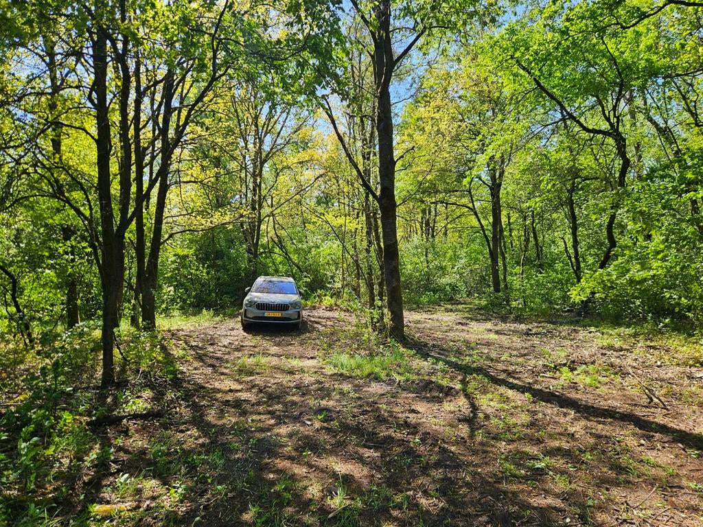 bosgrond te koop Asten - vlakbij Eindhoven, Eindhoven, 1500 m² of meer