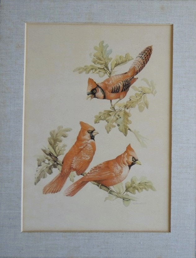 A. Lopez Alonso litho "Vogel Pin-Up", ca. 1950, gesigneerd, Antiek en Kunst, Ophalen, Origineel, Lithografie, Dieren en Natuur
