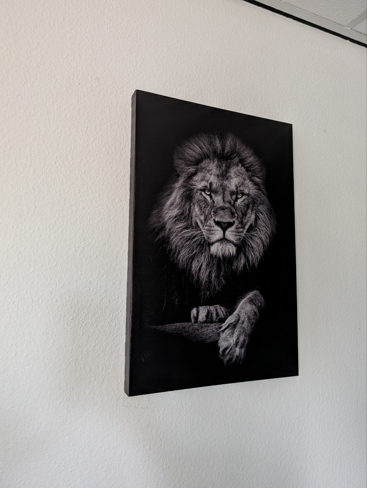 Modern schilderij van een majestueuze leeuw, Ophalen, Op houten frame, Dieren, Print