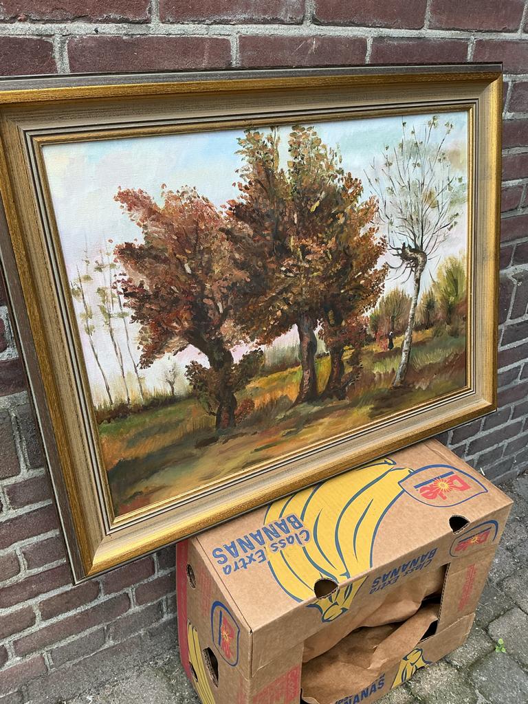 Schilderij met herfstlandschap in gouden lijst Cor Bouter, Ophalen, Minder dan 50 cm