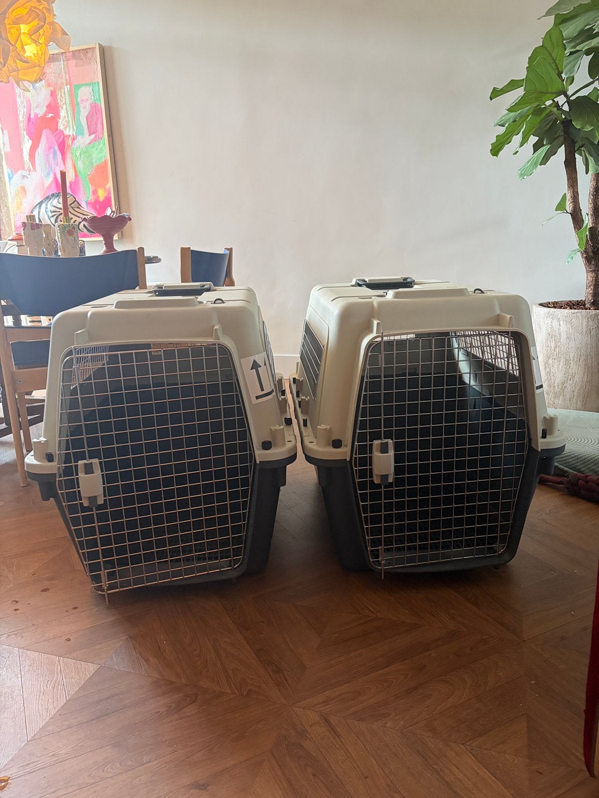Honden transportbox XL / reisbench IATA (2 stuks aanwezig), Ophalen, Zo goed als nieuw, Overige materialen