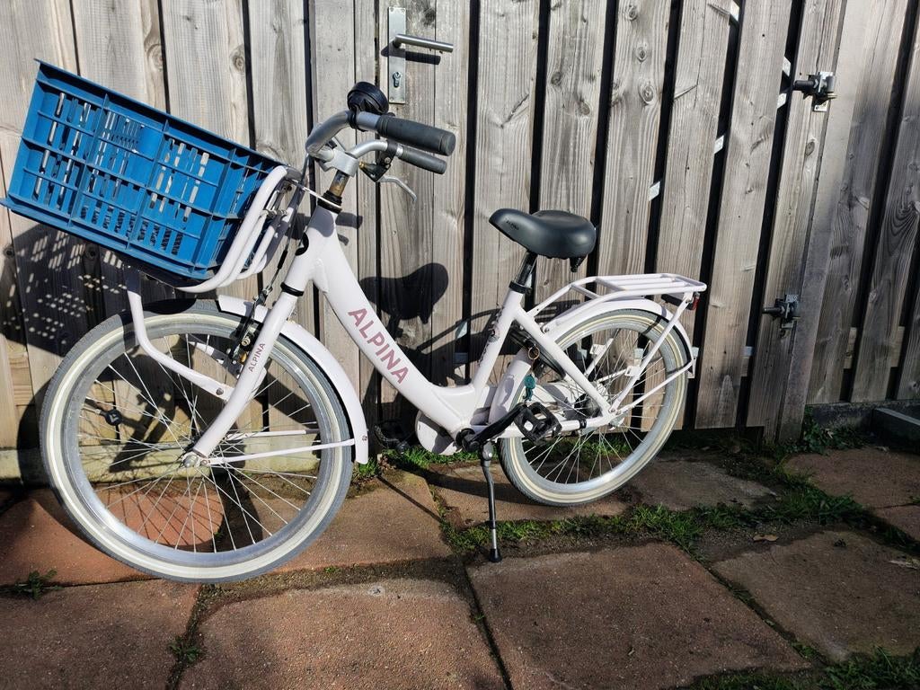 Alpina Meisjesfiets 22 inch met krat - Gebruikt, Ophalen, 22 inch, Gebruikt, Alpina