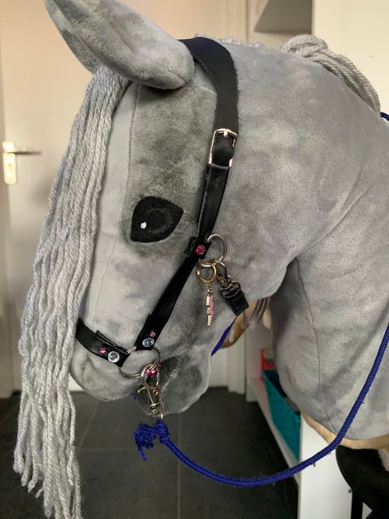 Hobby horse hoofdstel met glittertjes!, Ophalen of Verzenden, Zo goed als nieuw
