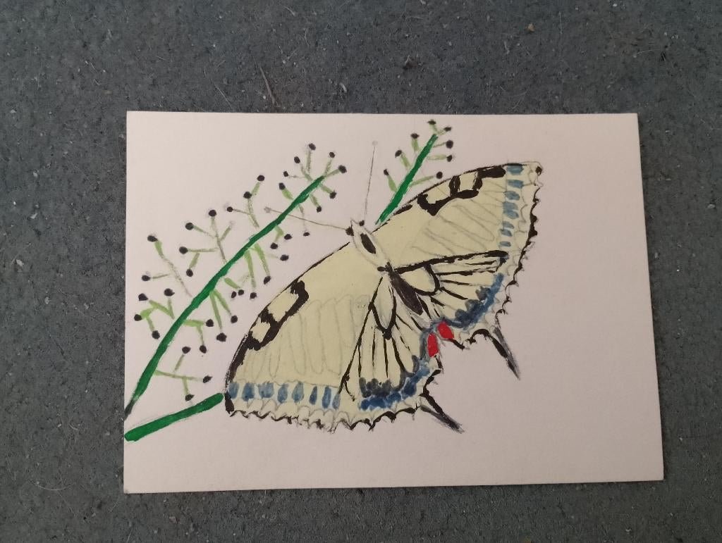 Vlinder kaart, Ophalen, Nieuw, Natuur