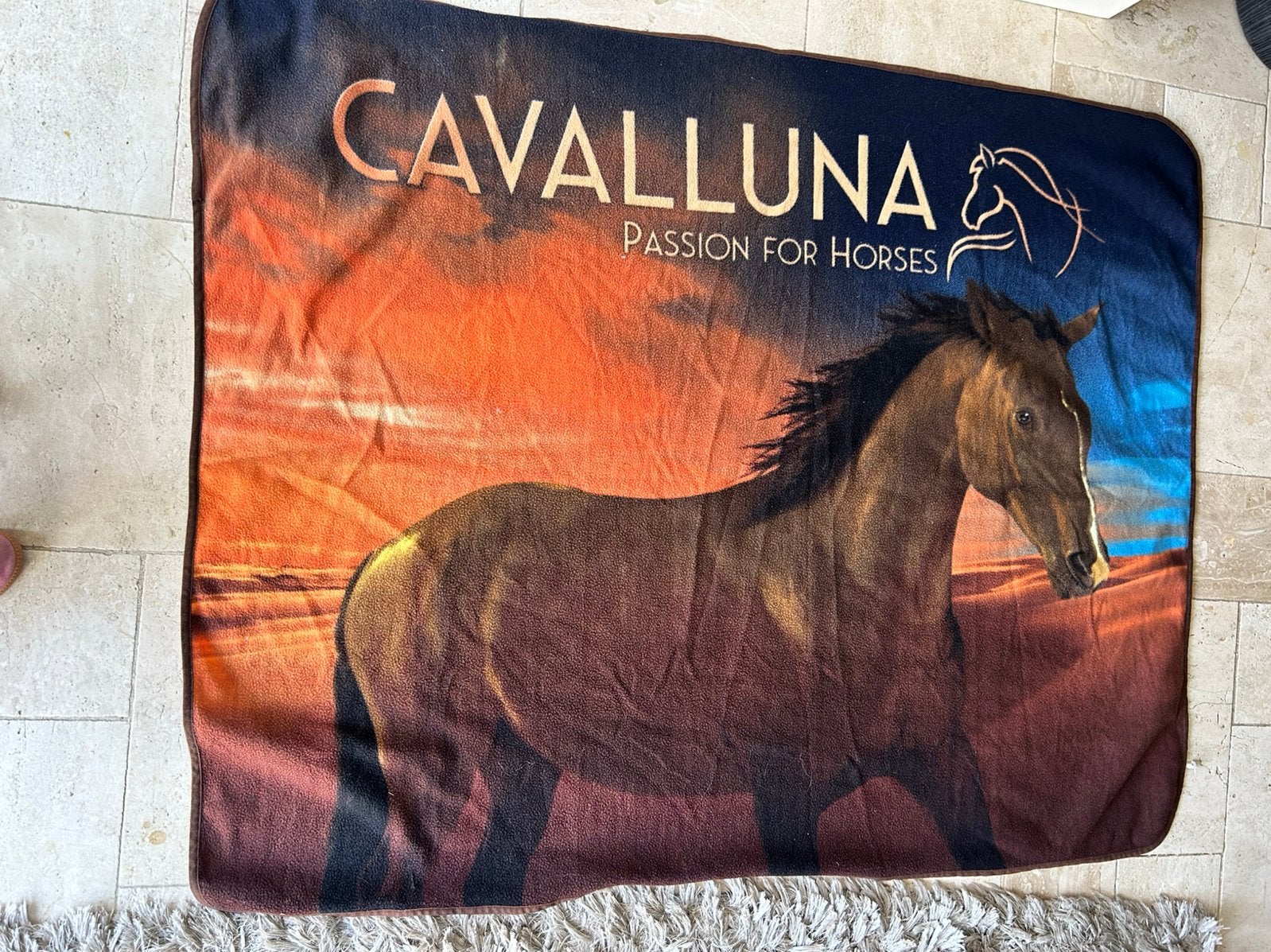 Fleecekleed van cavalluna, Ophalen, Fleecedeken, Gebruikt, Meerkleurig